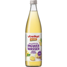 Ayurv.IngwerWasserMinzeZitr demete von Voelkel | Bio, veg...
