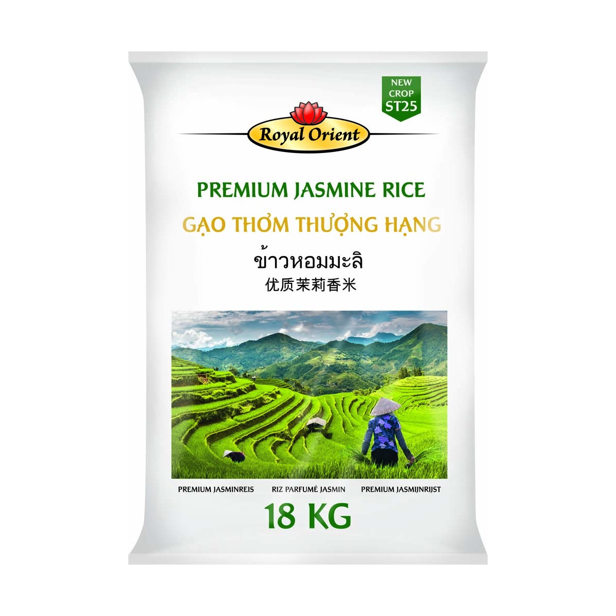 Premium Jasmin Reis ROYAL ORIENT Reis online günstig kaufen im Shop für B2B Kunden