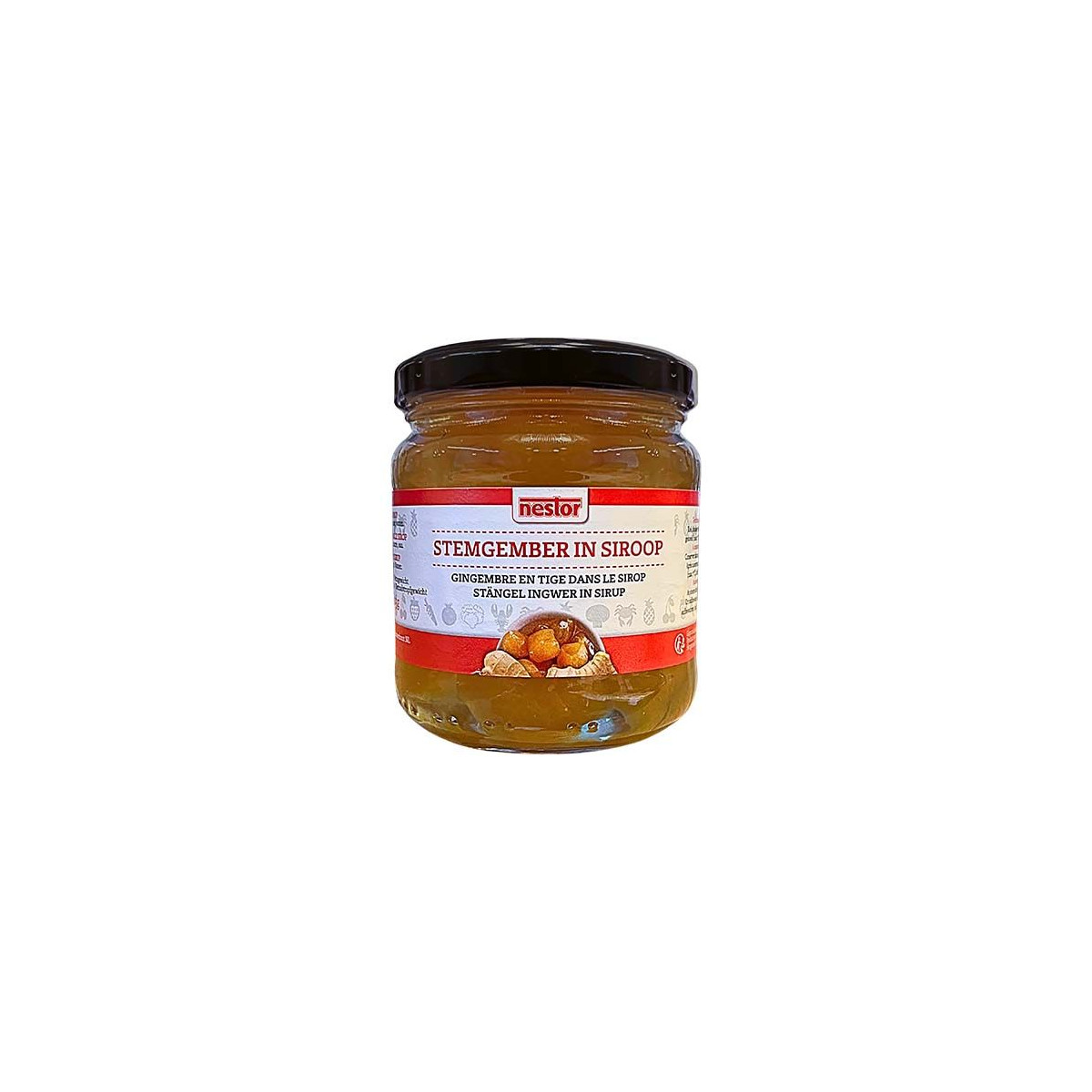 NESTOR Ingwer in Sirup 240 g