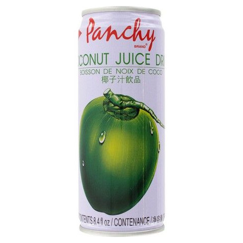 PANCHY Kokos-Getränk 250 ml