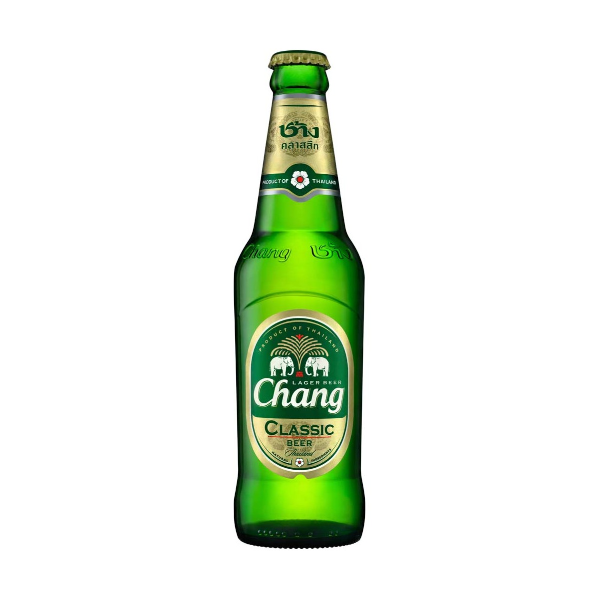 Bier 5% Alc.- Plato 11,1 CHANG Getränke online günstig kaufen im Shop für B2B Kunden