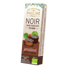 Hazelnut Bites DarkChocolat Pauline von Les Chocolats de...